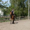 Babie Lato z Hucułami 2015